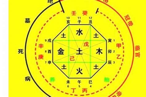 查生辰八字|生辰八字算命、五行喜用神查詢（免費測算）